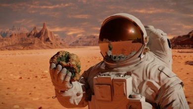 Kızıl Gezegen Mars'ın Gizemi 2021 2 kızıl gezegen