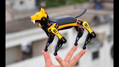 Evcil Hayvan Robotu: Çin'deki Son Teknoloji Dalgası 1 evcil hayvan robotu